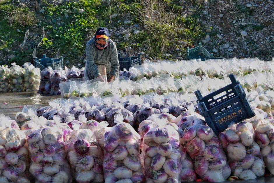 Comer de temporada: más sabor, menos gasto y menos huella