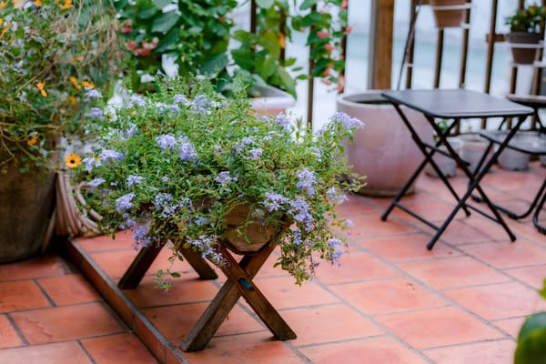 Un balcón que sobrevive al verano sin malgastar agua