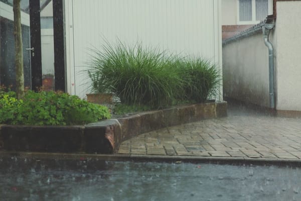 Recoger agua de lluvia: el recurso gratis que cae del cielo