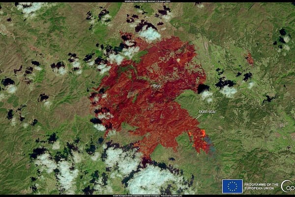La franja de protección: así se prepara tu jardín para el peor verano de incendios en años
