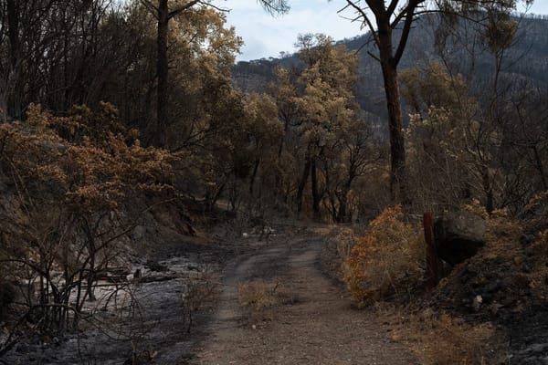 Incendios forestales en España: por qué septiembre sigue siendo un mes de riesgo y qué dice la nueva ley de prevención